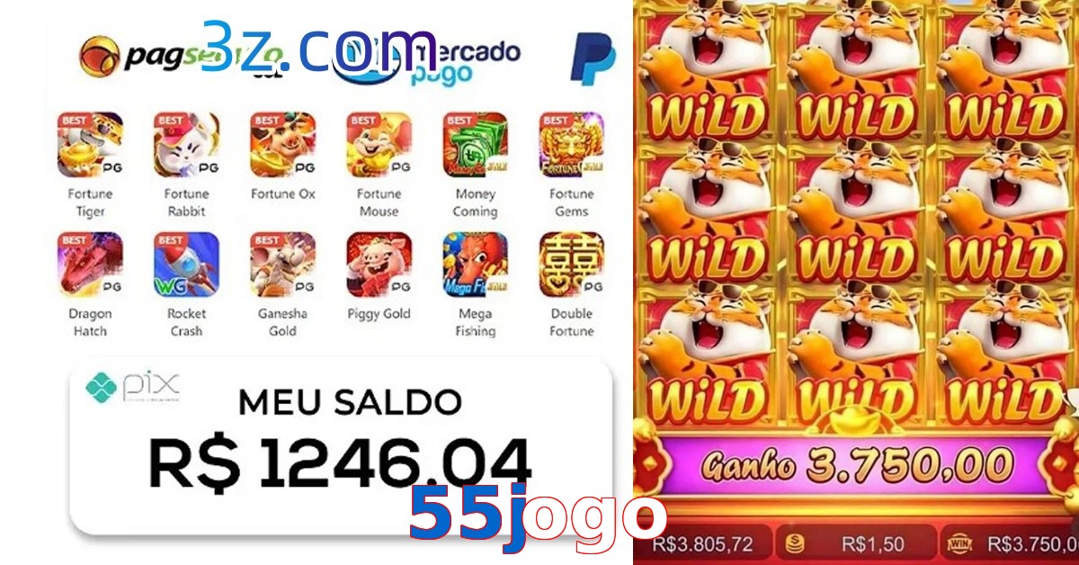 55jogo.com